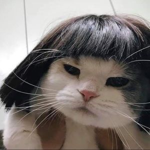 Meet your Posher, Jenae